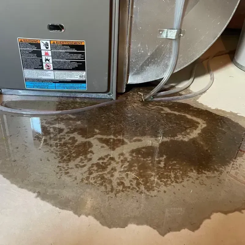 Appliance Leak Cleanup in Northville, MI